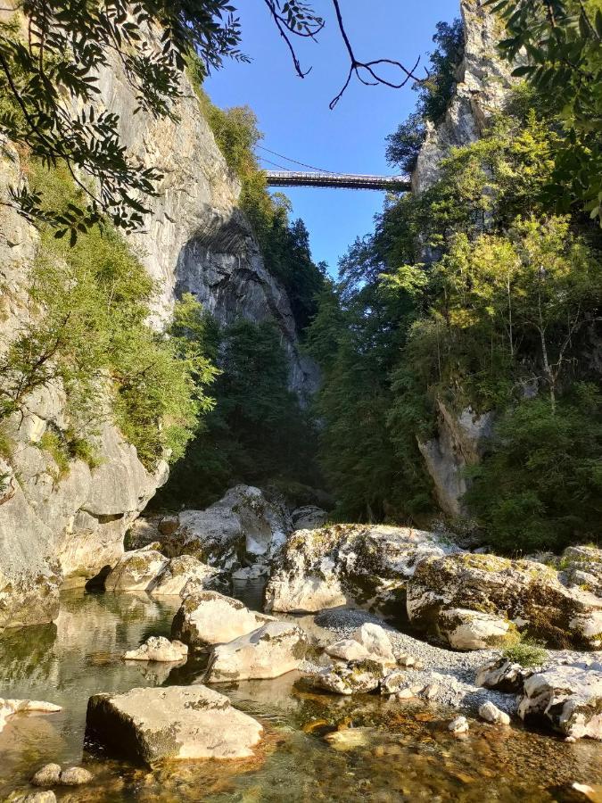 Entre Lacs Et Montagnes Cusy Dış mekan fotoğraf