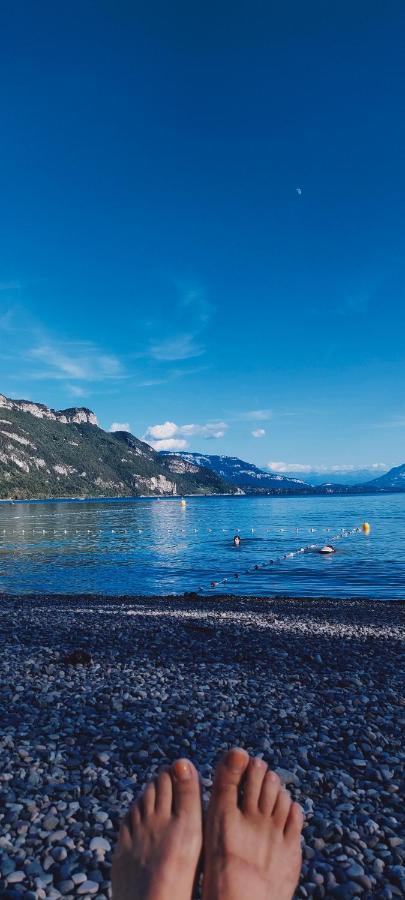 Entre Lacs Et Montagnes Cusy Dış mekan fotoğraf